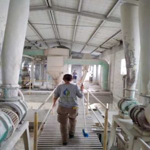 WhatsApp Image 2025-05-21 at 12.40.42