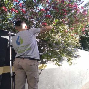 WhatsApp Image 2025-05-21 at 12.41.01